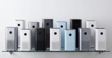 affordable top rated air purifiers