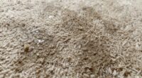 carpet moisture odor causes