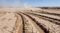 clean muddy tracks quickly
