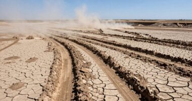 clean muddy tracks quickly