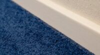cleaning dust strip edges