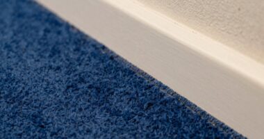 cleaning dust strip edges