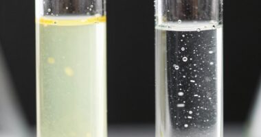 different chemicals different reactions