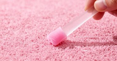 gentle gum carpet extraction