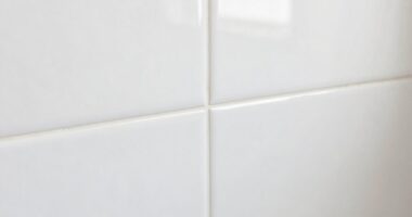 gentle white grout cleaning
