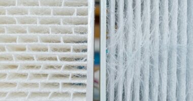 hepa versus hepa like