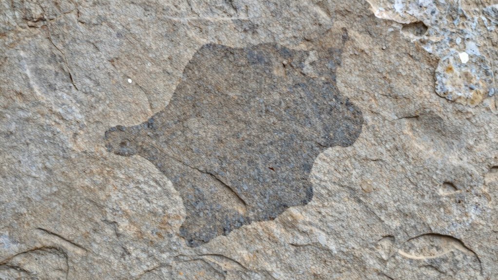 identify etching versus staining