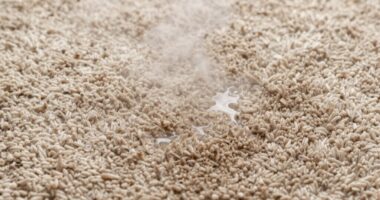 identify moisture source promptly