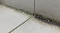 identifying grout issues quickly