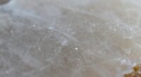 mineral film haze formation
