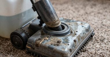 moldy carpet water cleanup