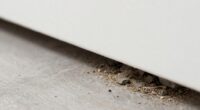 overlooked baseboard dirt