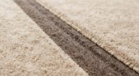 remove carpet traffic stains