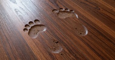 remove paw print stains