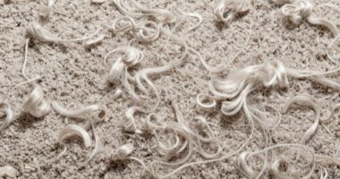 restore carpet fluffiness gently