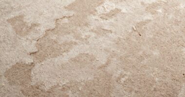 restoring flattened carpet fibers