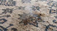 rugs smoke odor removal