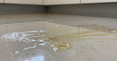 soap can t cut grease