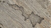 stone surface stain appearance