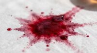 temperature affects stain setting