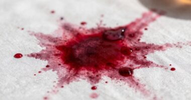 temperature affects stain setting