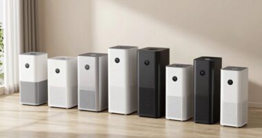 top 15 high cadr purifiers