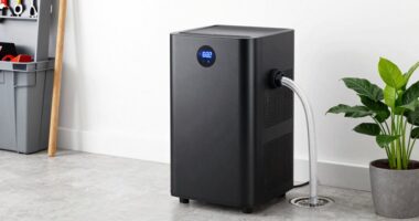 top 15 hose drain dehumidifiers
