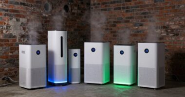 top air purifiers for basement