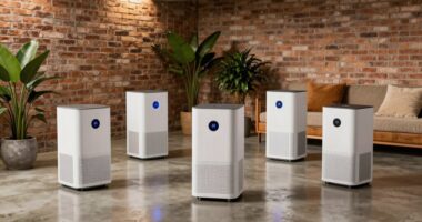 top basement air purifiers