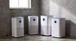 top basement dehumidifier picks