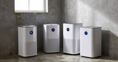 top basement dehumidifier picks