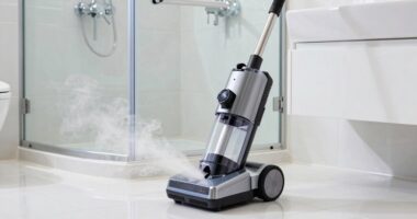 top bathroom steam cleaners
