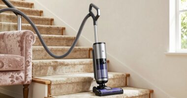 top canister vacuums 2026