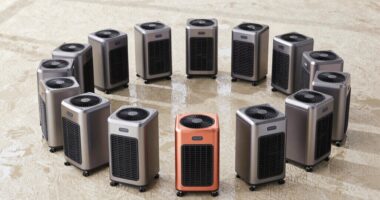 top carpet drying fans