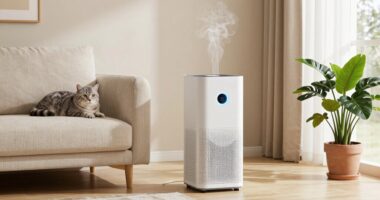 top cat friendly air purifiers
