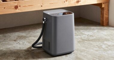 top crawl space dehumidifiers
