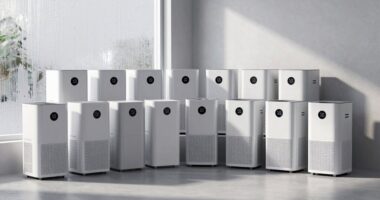 top dehumidifiers for mildew