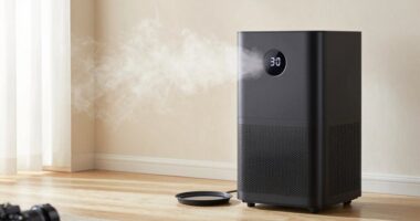 top dehumidifiers for odors