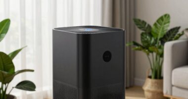 top dual filtration air purifiers