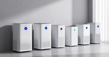 top eco friendly dehumidifiers