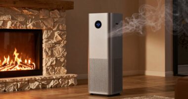 top fireplace smoke purifiers