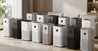 top hepa carbon purifiers