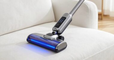 top mattress upholstery uv vacuums
