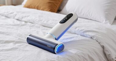 top mattress vacuum picks
