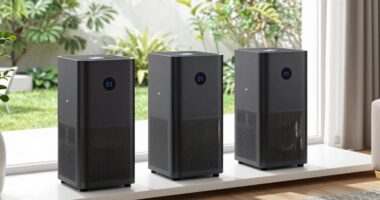 top medical grade hepa purifiers