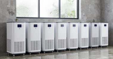 top mold preventing dehumidifiers