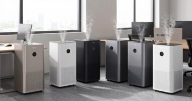 top office air purifiers