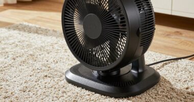 top rug drying fans