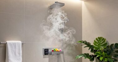 top shower steam aromatherapy systems