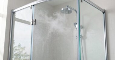 top shower steam cleaners
